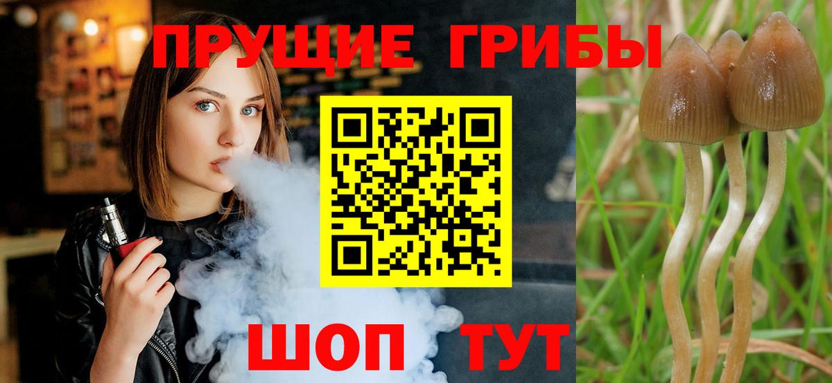 Псилоцибиновые грибы ЛСД  Вход с VPN  Красногорск 